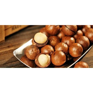 Hạt Macca 500gr sấy nứt vỏ - Hạt mắc ca sạch, tiêu chuẩn xuất khẩu