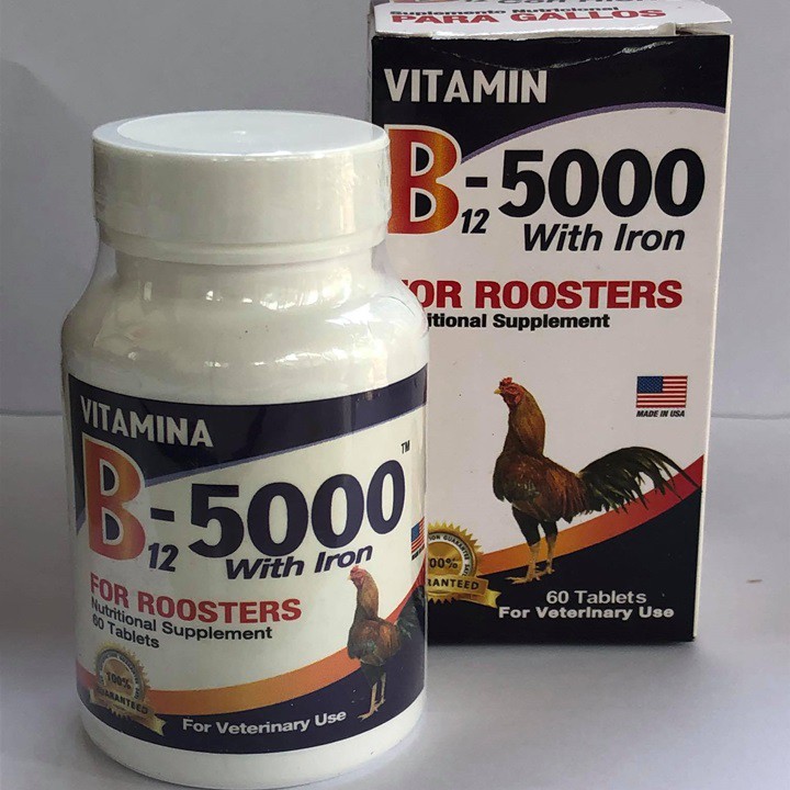 B12 5000 GIUP GÀ LEN NUOC MAU - HỦ 60 VIÊN