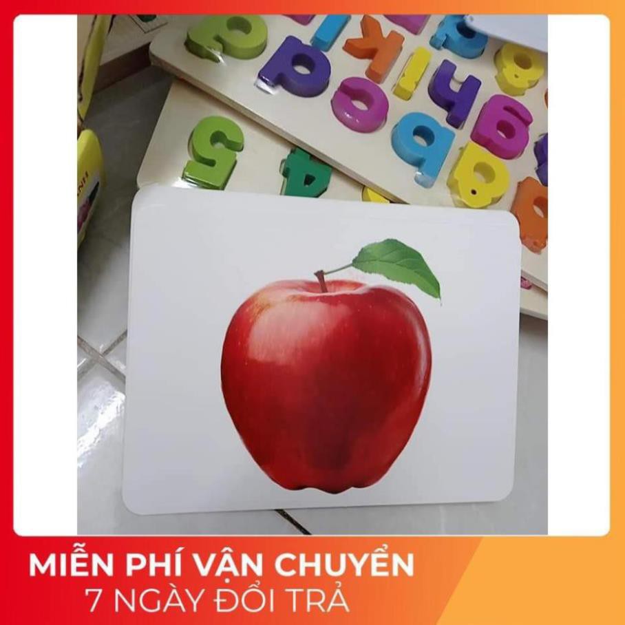 Bộ thẻ học thông minh Glenn Doman kt TO A5 - 17x21cm dạy bé nhận biết về Thế giới xung quanh, kết hợp dạy Từ vựng.