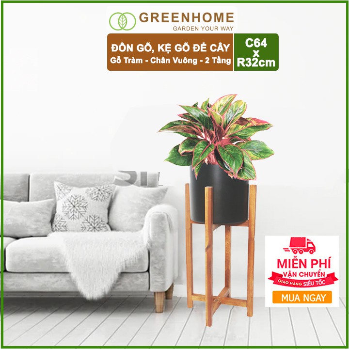 [FREESHIP 70K] Đôn gỗ, kệ kê chậu cây nội thất 2 tầng bằng gỗ Tràm C64x32cm 🎁Tặng kèm dĩa lót D27cm🎁 | BigBuy360 - bigbuy360.vn