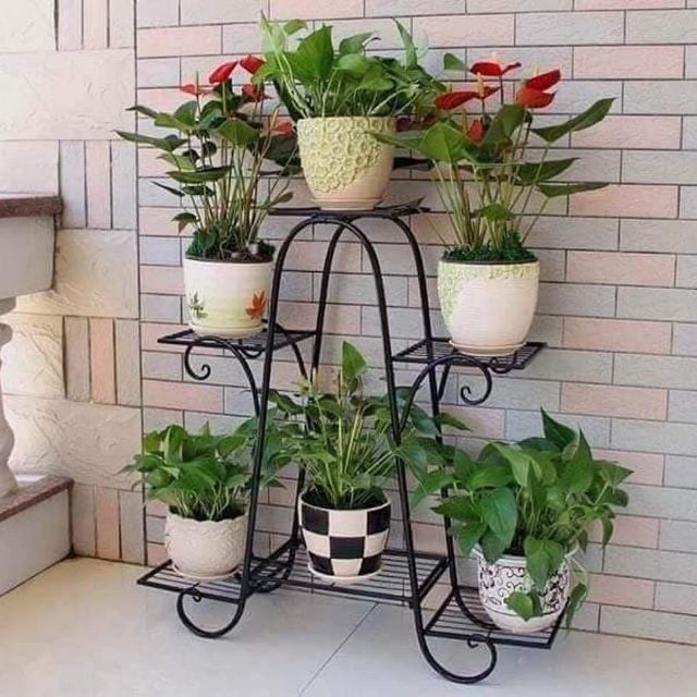 Kệ 6 tầng đựng hoa