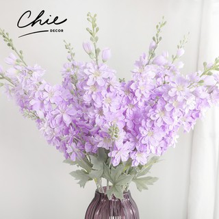 CÀNH HOA PHI YẾN