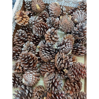 Quả thông trang trí noel