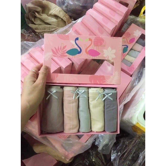 Quần lót nữ cotton gân tăm viền ren LYMIA hộp thiên nga