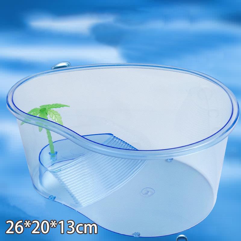 Bể rùa cảnh mini chất lượng