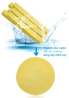 2 cái Bông rữa mặt