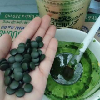 Tảo xoắn Nhật Bản