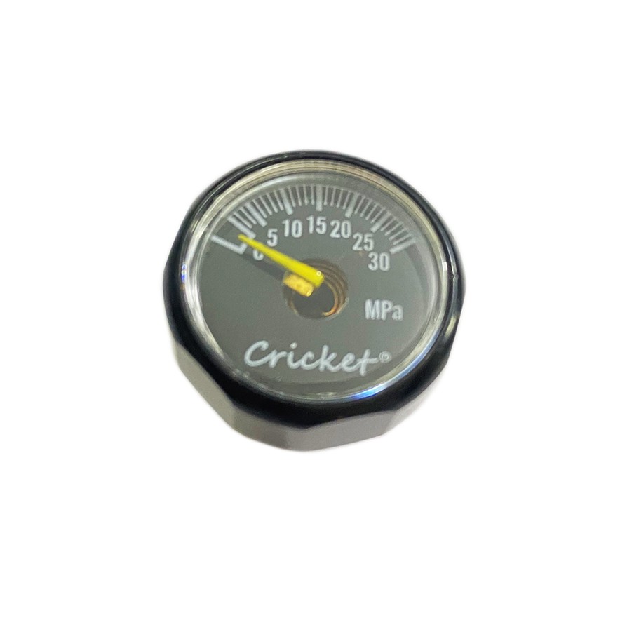 Đồng hồ đo áp suất - chân 8mm - 30MPa (Nhỏ) ( mặt màu Đen Chơn) pkb