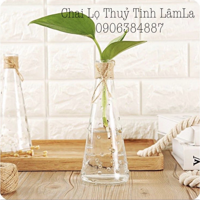 Bình Hoa Thuỷ Tinh Trang Trí Giọt Nước 300ml | Cắm bông , trang trí hoa khô , deco , đựng hạt đá phong thuỷ