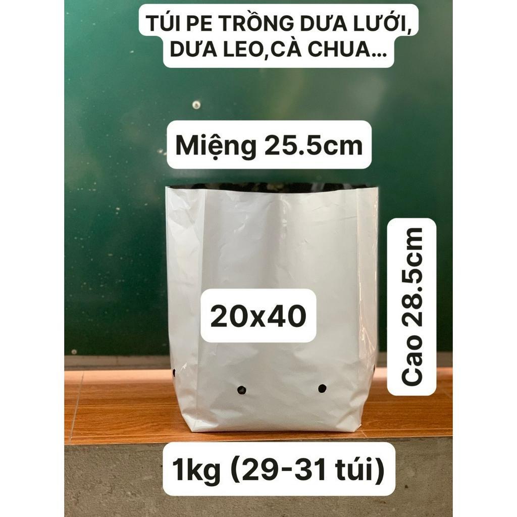 TÚI PE TRỒNG DƯA LƯỚI ,DƯA LEO, CÀ CHUA...(LƯỚI CHE NẮNG, DÂY LÀM GIÀN LEO, BẠT PHỦ NGĂN CỎ...)