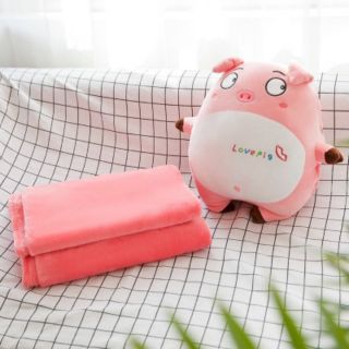 Gấu kèm chăn heo cảm xúc