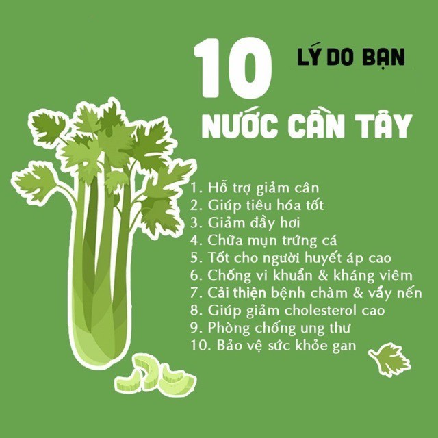 Bột Cần Tây Nguyên Chất Tuệ Minh hộp 50 gram