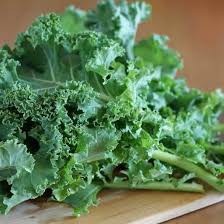 Hạt giống Cải Kale ( Cải xoăn ) 5gr ❤️FREESHIP EXTRA❤️