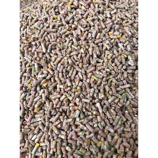 5kg ngũ cốc ép cám viên thức ăn cho gà, gia cầm