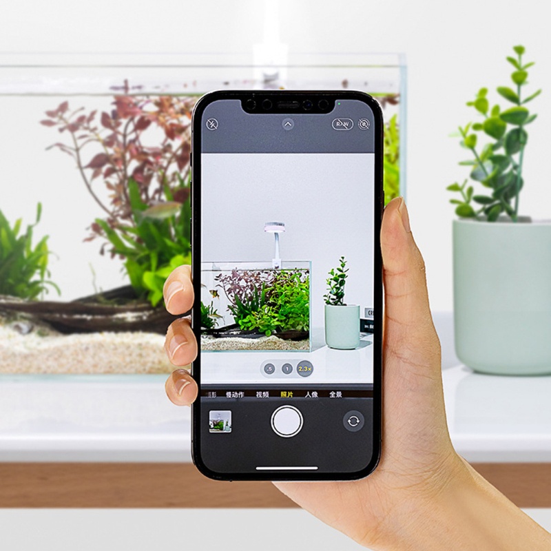 Đèn LED 4 Bóng 5W 360 Chuyên Dụng Cho Bể Cá° Xoay Tròn Chuyên Dụng Chất Lượng