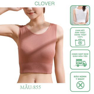 Áo Bra Crottop Tập Gym ⚡ FREESHIP ⚡Áo Bralatte Thể Thao 855