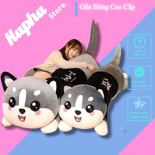 [HÀNG LOẠI 1] Gấu Bông Mèo Husky, Gối Ôm hình thú nhồi bông Con Mèo Đáng Yêu Cho Bé, Vải Bông Mềm Mịn Co Giãn 4 Chiều