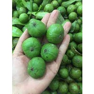 500g sấu ngâm đường để pha nước uống giải khát