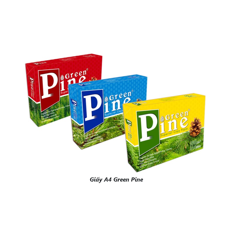 Giấy Photo Green Pine