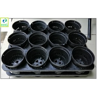 COMBO 2KHAY NHỰA CỨNG 12 LỖ + 24 CHẬU NHỰA FI 10CM TRỒNG RAU ƯƠM MẦM