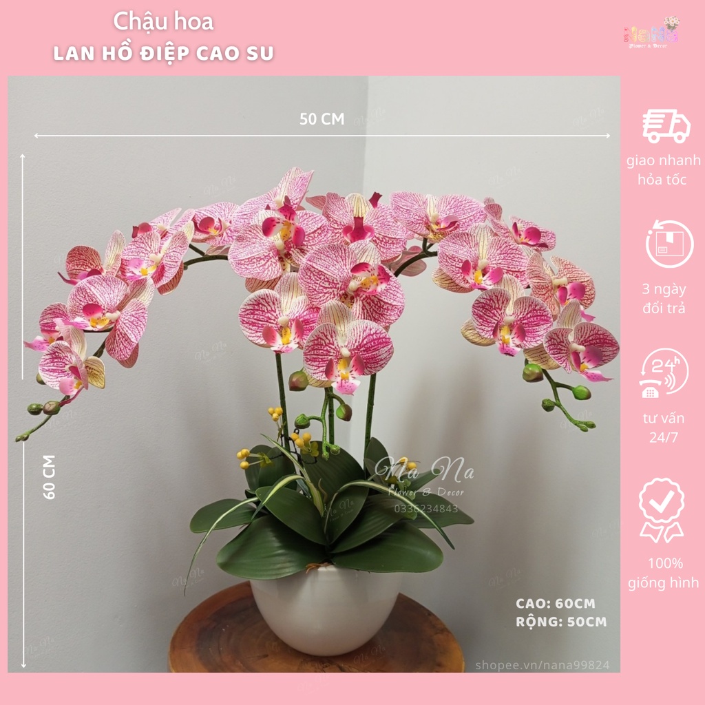 chậu lan hồ điệp giả chất liệu cao su dùng trang trí nội thất nhà cửa phòng khách, văn phòng, khách sạn, nhà hàng, khá