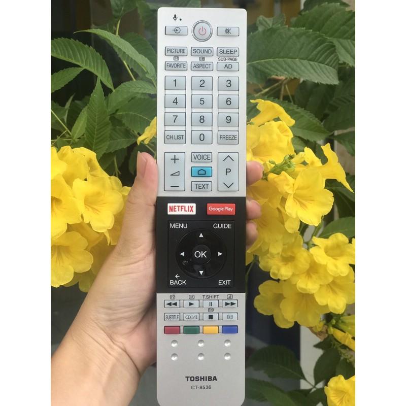 Remote tivi Toshiba (Chính Hãng )