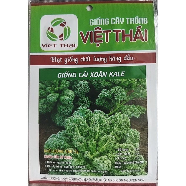 HẠT GIỐNG CẢI XOĂN KALE gói 2gr hoặc 5gr