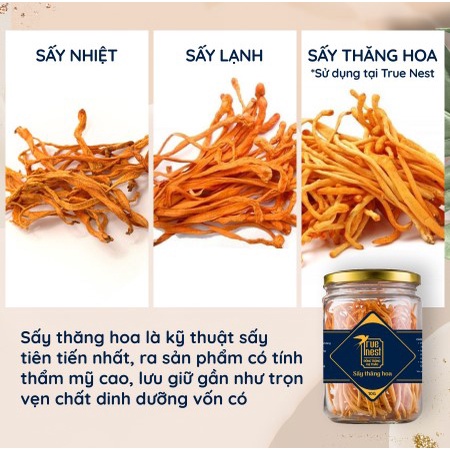 Nấm Đông Trùng Hạ Thảo hộp 10g Cao Cấp Sấy Khô Chống Lão Hóa Đẹp Da Tăng Miễn Dịch