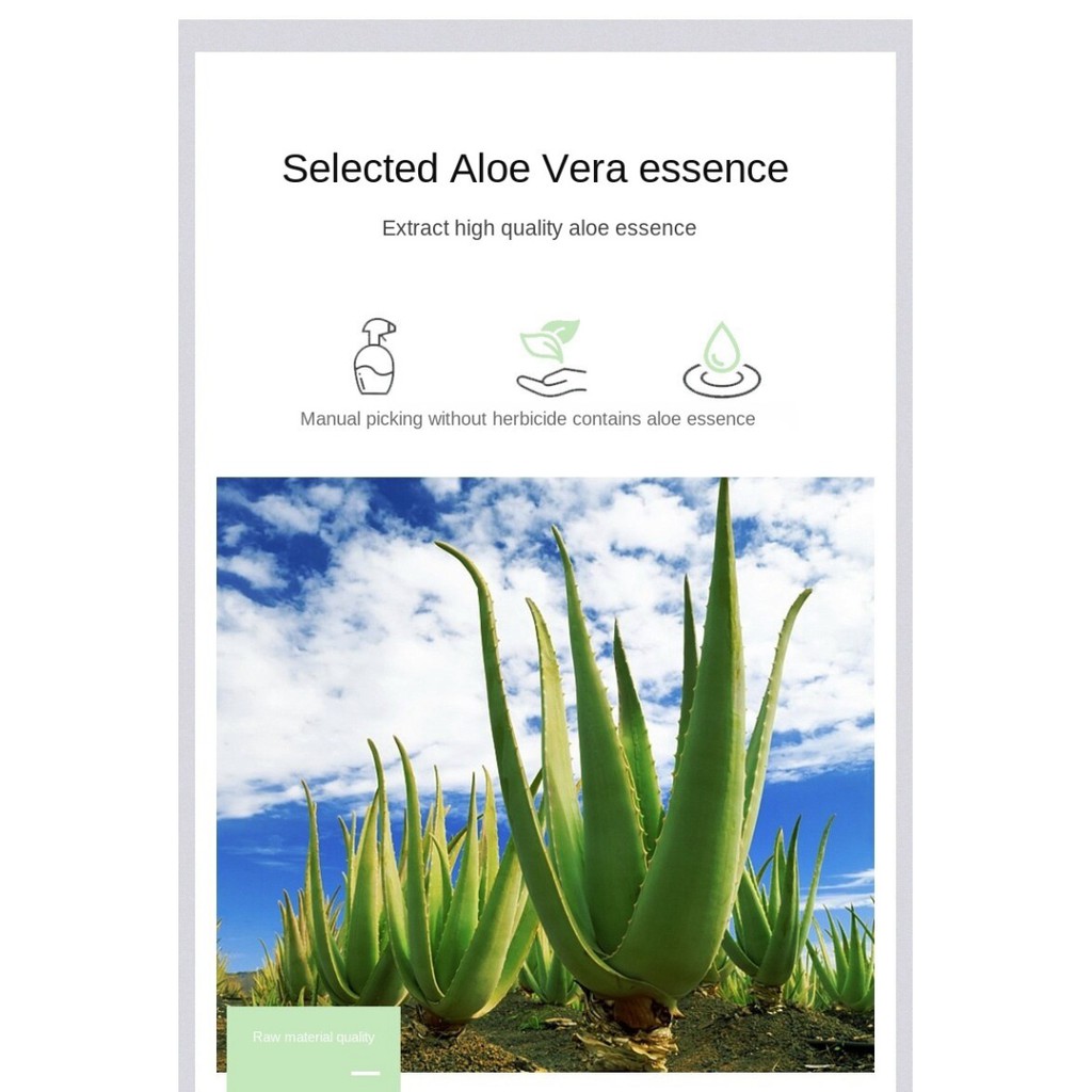 [HÀNG CHÍNH HÃNG] Mặt Nạ Ngủ BIOAQUA Tinh Chất Lô Hội Dưỡng Ẩm Làm Sáng Da Se Khít Lỗ Chân Lông Hiệu Quả | BigBuy360 - bigbuy360.vn