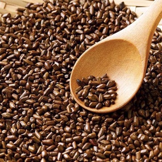Hạt muồng (Thảo quyết minh) 500g