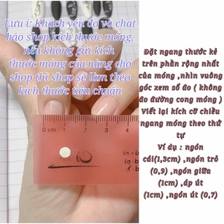 Nailbox móng úp Mắt mèo charm gấu