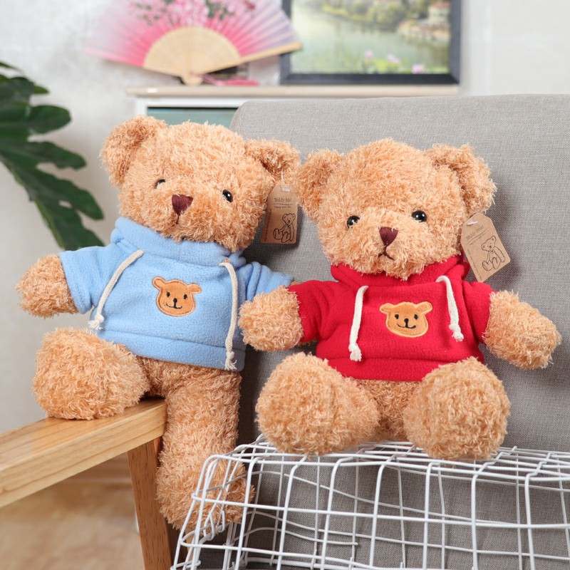 Gấu Teddy Mặc Áo Hoodie Dễ Thương Cao Cấp Gấu Bông City