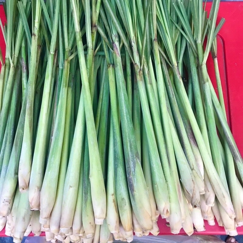 Cây xả tươi 1 kg [Ship nowship]