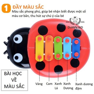 Đàn gõ hình bọ rùa siêu dễ thương