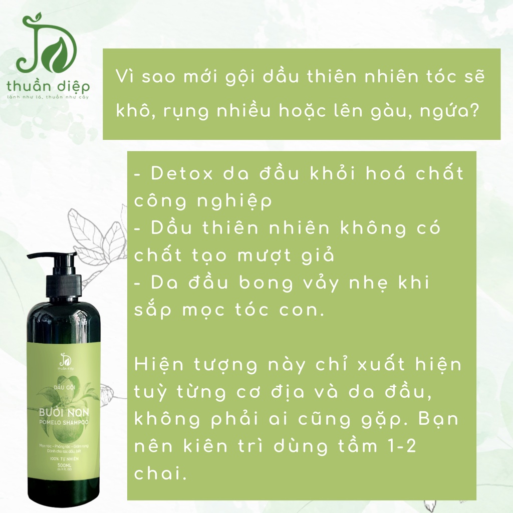 COMBO DẦU GỘI XẢ BƯỞI THUẦN DIỆP + XỊT BƯỞI NON  giúp mọc tóc, giảm rụng tóc handmade