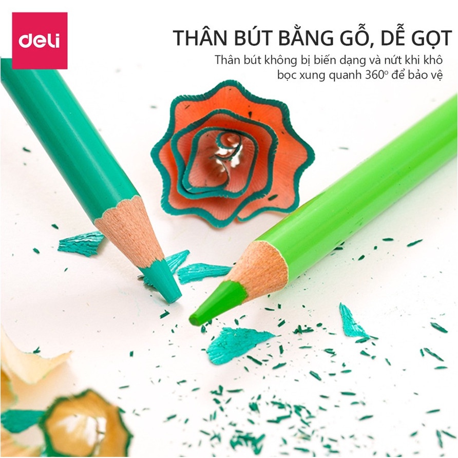 Chì màu gốc dầu Deli - gỗ tự nhiên - hộp thiếc - 24/ 36/ 48/72 Màu - 6565 / 6566 / 6567 / 6568 - vpp Diệp Lạc (sỉ/lẻ)