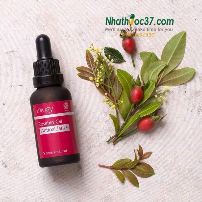 Dầu tầm xuân dưỡng da Trilogy rosehip oil Antioxidant+ chống lão hoá