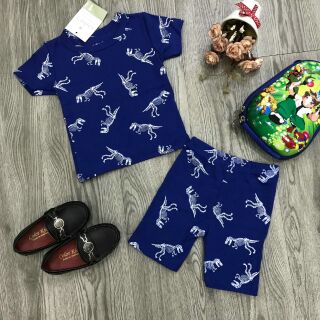 Combo bộ Carter