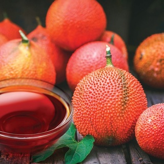 Dầu Gấc ( Gac Oil ) Dầu thực vật