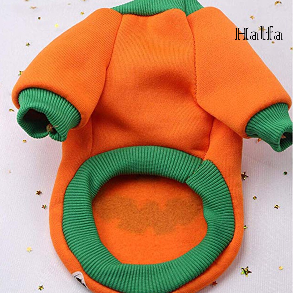 Bộ Đồ Hóa Trang Halloween Cho Thú Cưng