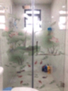 Decal dán tường hoa sen 3d