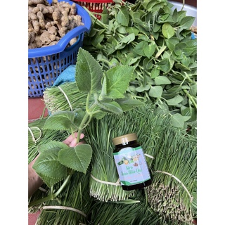 SIRO HO HÚNG CHANH- THẢO MỘC QUÊ 350ML