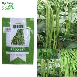 Đậu đũa bụi ngọt Rado 757(20g)