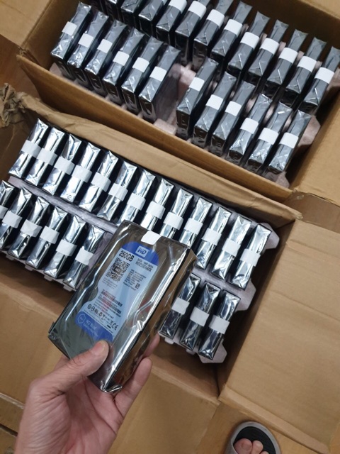 Ổ cứng 250gb mới Bảo Hành 24 tháng | BigBuy360 - bigbuy360.vn