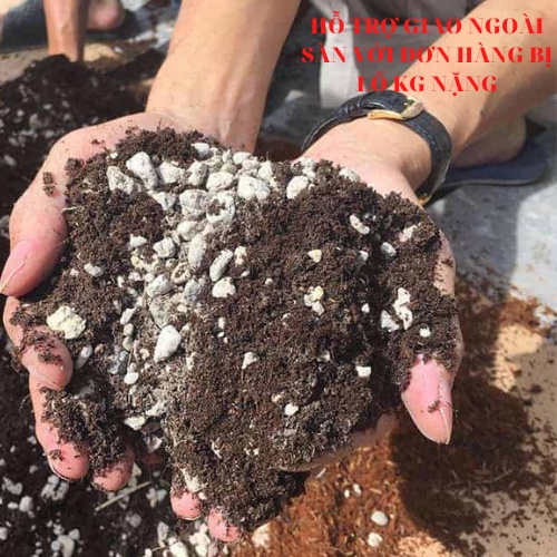 Combo 10 Kg đất trồng cao cấp trộn sẵn Đất Trồng Sen Đá, Xương Rồng