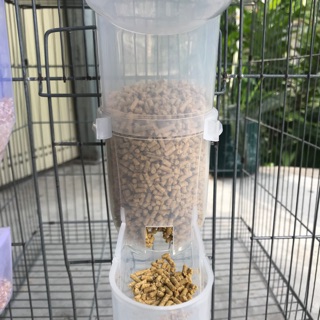 Máng thức ăn tự động gà đá, chim cảnh