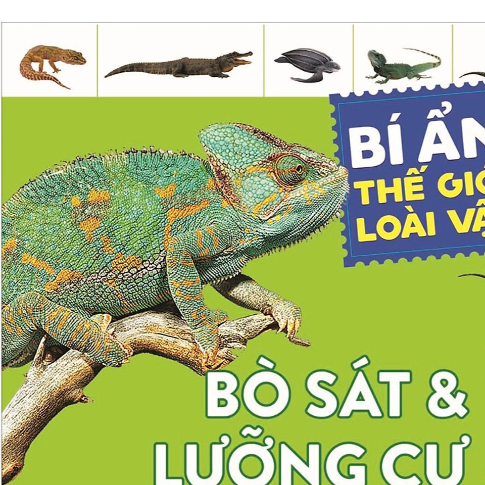 Sách - Bí Ẩn Thế Giới Loài Vật: Bò Sát Và Lưỡng Cư (Tái Bản 2018)