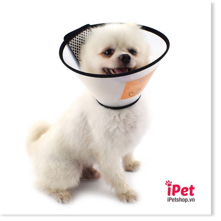 [Mã giảm giá] Vòng Cổ Chống Liếm Dogstory Cho Thú Cưng Chó Mèo - iPet Shop