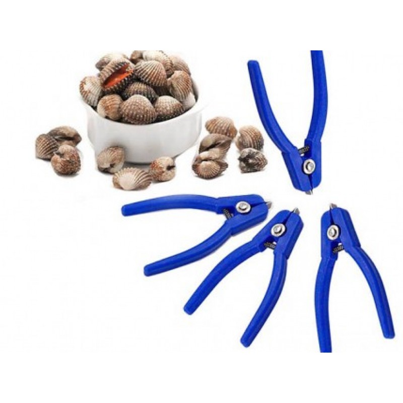 Dụng Cụ Tách Sò Huyết