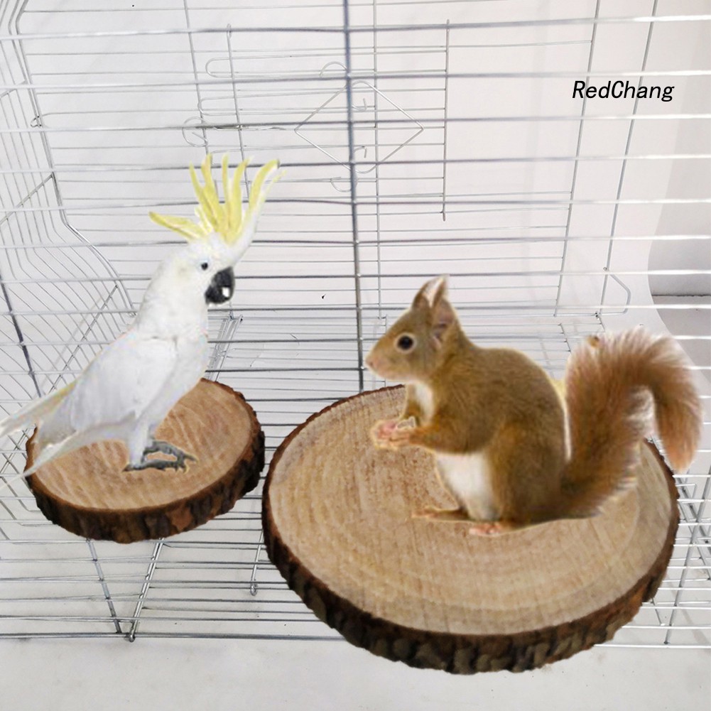 Bệ gỗ vui chơi cho chuột hamster